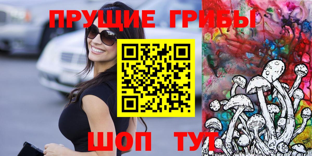 Кулебаки  Галлюциногенные грибы ЛСД  Вход с VPN 